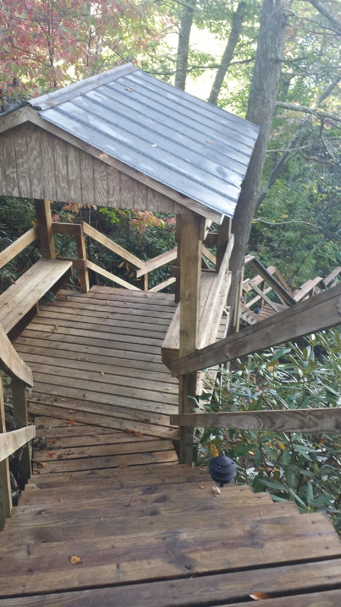 Metal roofed shelter over wooden steps on a wooded walkway — Skylight Repair & Installation work by our crew in Auburn